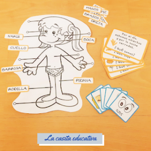 cuerpo humano